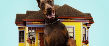 10 лучших пород собак для охраны дома